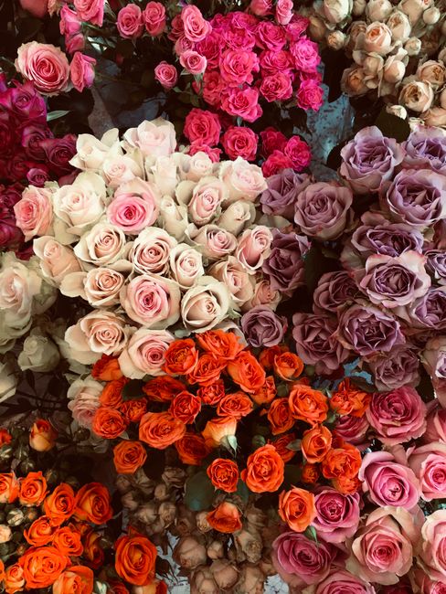 A vibrant display of various fresh roses in an assortment of colors, including soft pink, creamy white, lavender, bright orange, and deep magenta. The roses are arranged in dense bouquets with some wr