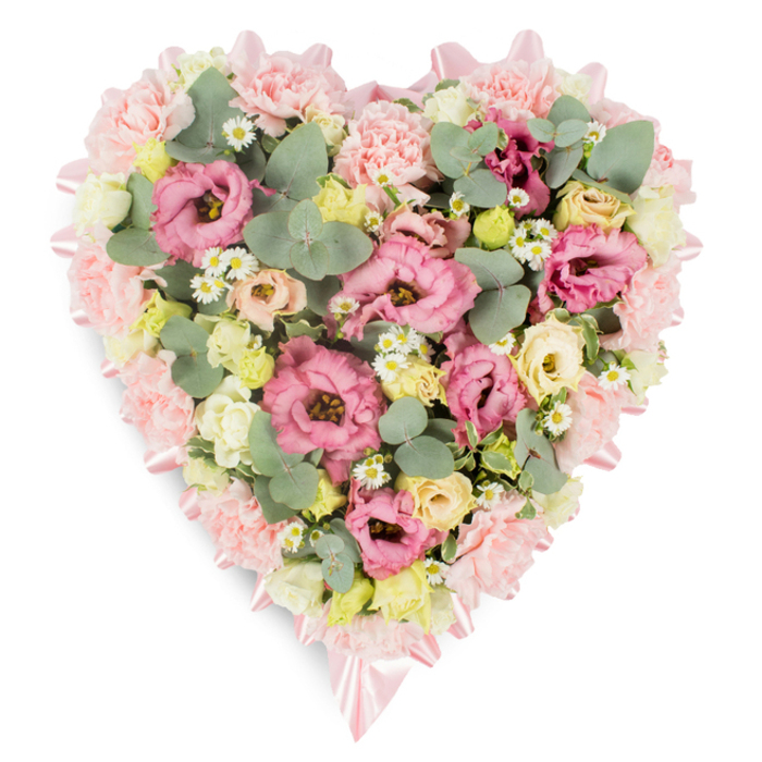 A generous heart-shaped floral arrangement is shown on a pristine white backdrop, every petal and ribbon detail clearly visible, as if laid out in a calm room in Ealing before being taken to a local chapel or crematorium. The heart's outer edge is softly defined by a pale pink satin ribbon that runs smoothly along the entire contour, catching the light with a delicate sheen and tying into neat, romantic bows at the top dip and lower point of the heart. Within this outline, the florist has densely layered a luxurious mix of pastel blooms. Ruffled pink lisianthus dominate the composition, their petals unfolding in gentle waves of rose and blush tones, interwoven with equally frilly light pink carnations whose clustered heads create a plush, cushioned effect. Between these larger blossoms, dainty creamy yellow and pale ivory spray roses are threaded like little pearls of warmth, bringing a subtle, sunlit glow to the design. Small white daisy-like flowers, each with a bright yellow center, are dotted throughout, adding a playful, meadow-like texture that lightens the overall feel. Silvery-green eucalyptus, with its round, cool-toned leaves, slips between the petals, offering contrast and a sense of calm, while slightly darker green, variegated foliage adds depth and a natural rhythm. The palette is dominated by soft pinks, creams, light yellows, and muted greens, creating a soothing, embracing impression. This heart-shaped tribute, crafted with the sort of care associated with long-standing Ealing florists, is perfect for funerals, memorials, or wakes, expressing deep affection, remembrance, and a gentle farewell without harsh colour or sharp lines.